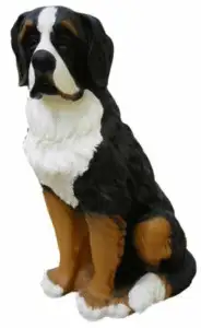 Moule Chien Saint-Bernard